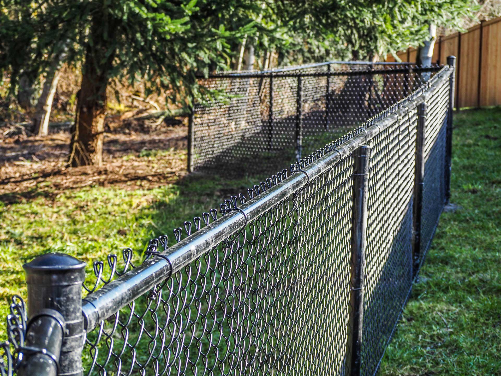 Chain link